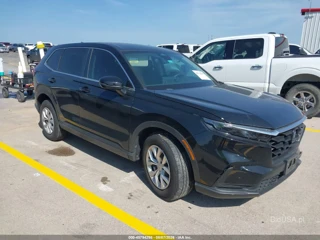 HONDA HONDA CR-V LX AWD