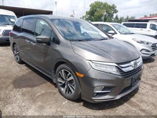 HONDA HONDA ODYSSEY ELITE