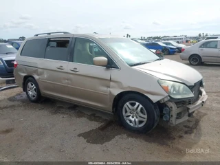 HONDA HONDA ODYSSEY EX-L