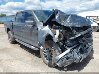 FORD FORD F-150 TREMOR