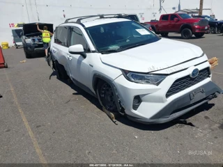 TOYOTA TOYOTA RAV4 HYBRID XLE
