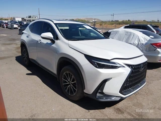 LEXUS LEXUS NX 350H PREMIUM