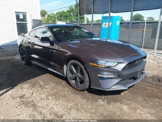 FORD FORD MUSTANG ECOBOOST FASTBACK