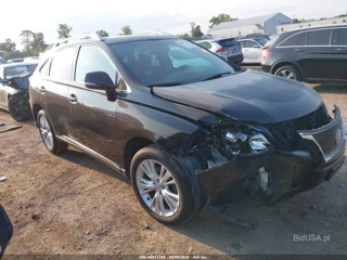 LEXUS LEXUS RX 450