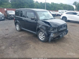 HONDA HONDA ELEMENT EX-P