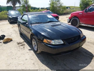 FORD FORD MUSTANG