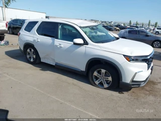 HONDA HONDA PILOT EX-L