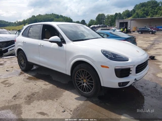 PORSCHE PORSCHE CAYENNE PLATINUM EDITION