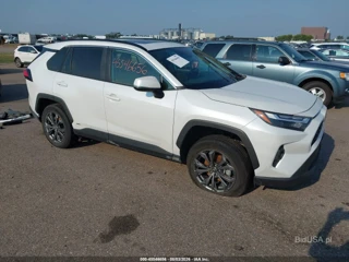 TOYOTA TOYOTA RAV4 HYBRID XLE PREMIUM