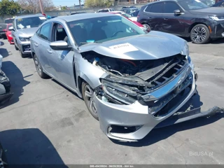 HONDA HONDA INSIGHT LX