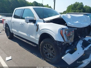 FORD FORD F-150 TREMOR