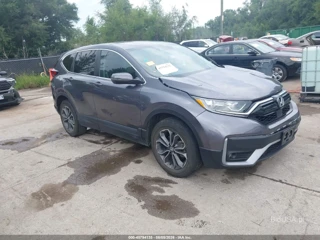 HONDA HONDA CR-V AWD EX-L