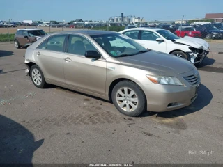 TOYOTA TOYOTA CAMRY HYBRID