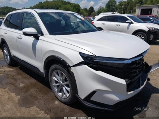 HONDA HONDA CR-V EX AWD
