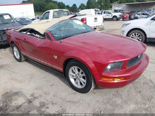 FORD FORD MUSTANG V6/V6 PREMIUM