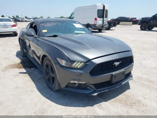 FORD FORD MUSTANG ECOBOOST
