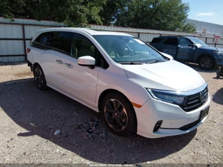 HONDA HONDA ODYSSEY ELITE