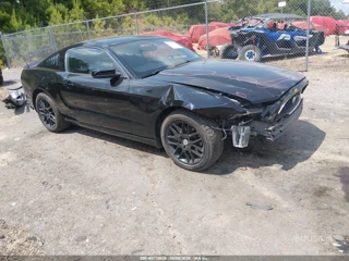 FORD FORD MUSTANG V6