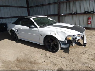 FORD FORD MUSTANG