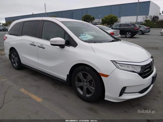 HONDA HONDA ODYSSEY EX
