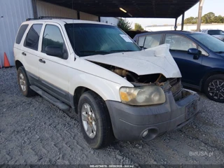 FORD FORD ESCAPE XLT/XLT SPORT