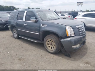CADILLAC CADILLAC ESCALADE STANDARD