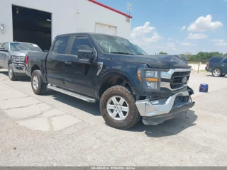 FORD FORD F-150 XLT