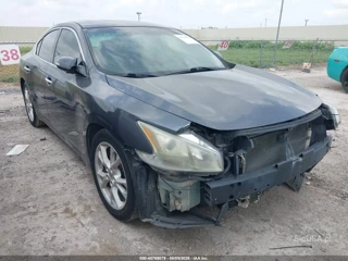 NISSAN NISSAN MAXIMA 3.5 SV