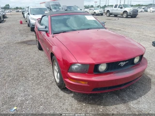 FORD FORD MUSTANG GT PREMIUM