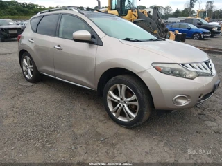 NISSAN NISSAN MURANO LE