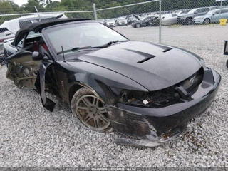 FORD FORD MUSTANG 10TH ANNIVERSARY PACKAGE/COBRA