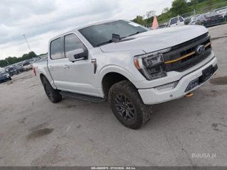 FORD FORD F-150 TREMOR