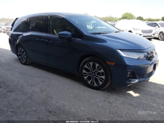 HONDA HONDA ODYSSEY ELITE