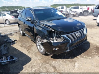 LEXUS LEXUS RX 350