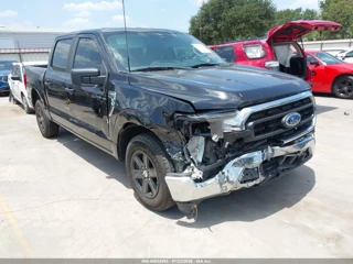 FORD FORD F-150 XLT