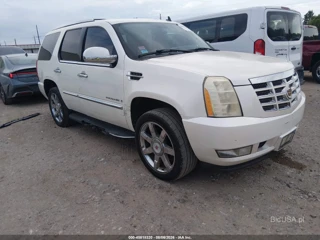 CADILLAC CADILLAC ESCALADE