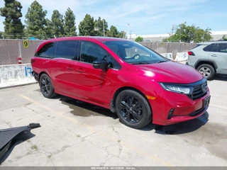 HONDA HONDA ODYSSEY SPORT