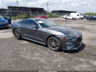 FORD FORD MUSTANG ECOBOOST