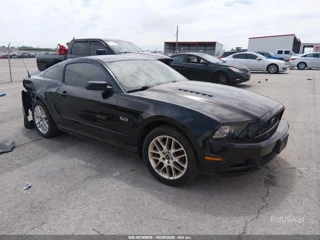 FORD FORD MUSTANG GT PREMIUM