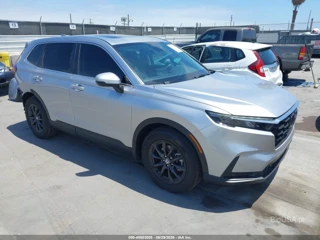HONDA HONDA CR-V EX-L 2WD