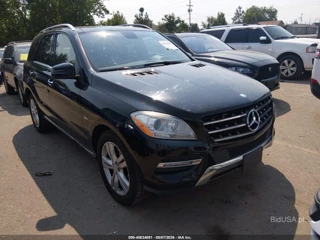 MERCEDES-BENZ MERCEDES-BENZ ML 350 4MATIC