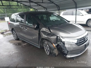 HONDA HONDA ODYSSEY EX-L