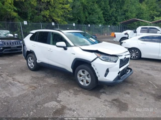 TOYOTA TOYOTA RAV4 HYBRID XLE