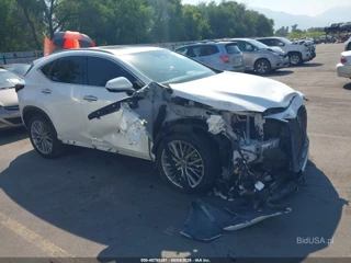 LEXUS LEXUS NX 350 PREMIUM