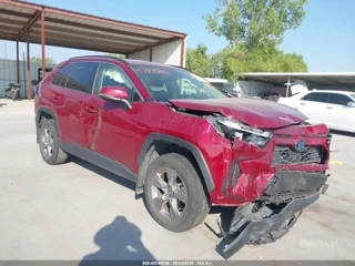 TOYOTA TOYOTA RAV4 HYBRID LE