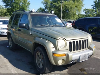 JEEP JEEP LIBERTY RENEGADE