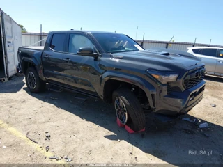 TOYOTA TOYOTA TACOMA HYBRID TRD SPORT