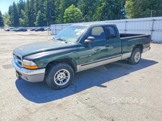 DODGE DAKOTA