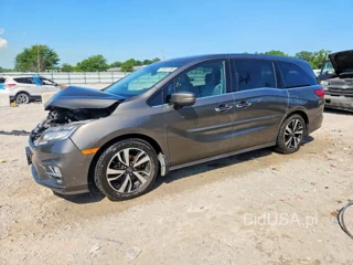 HONDA ODYSSEY ELITE
