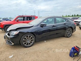 ACURA TLX